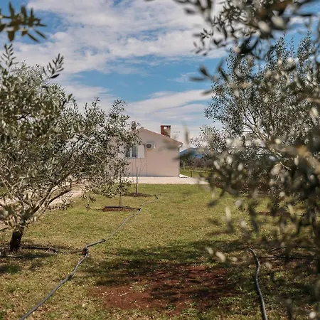 Marinerro Completely Energy Self-sustainable Surrounded By Olive Groves And An Orchard *